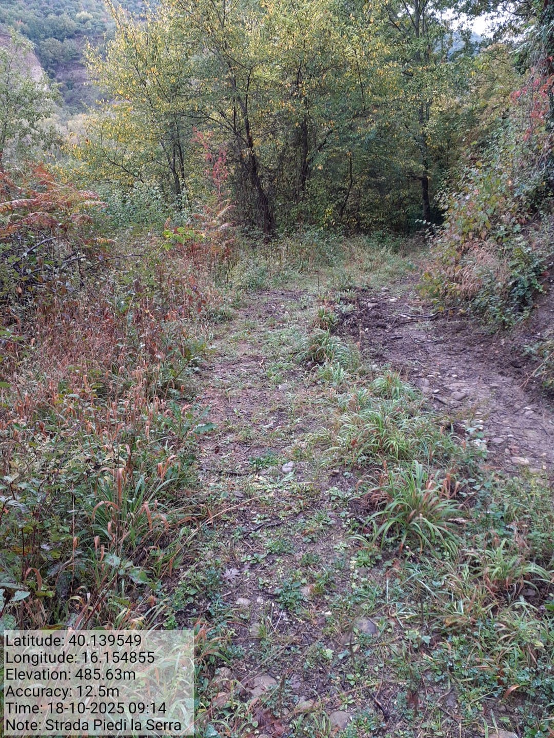 Galleria Fotografica Immagine