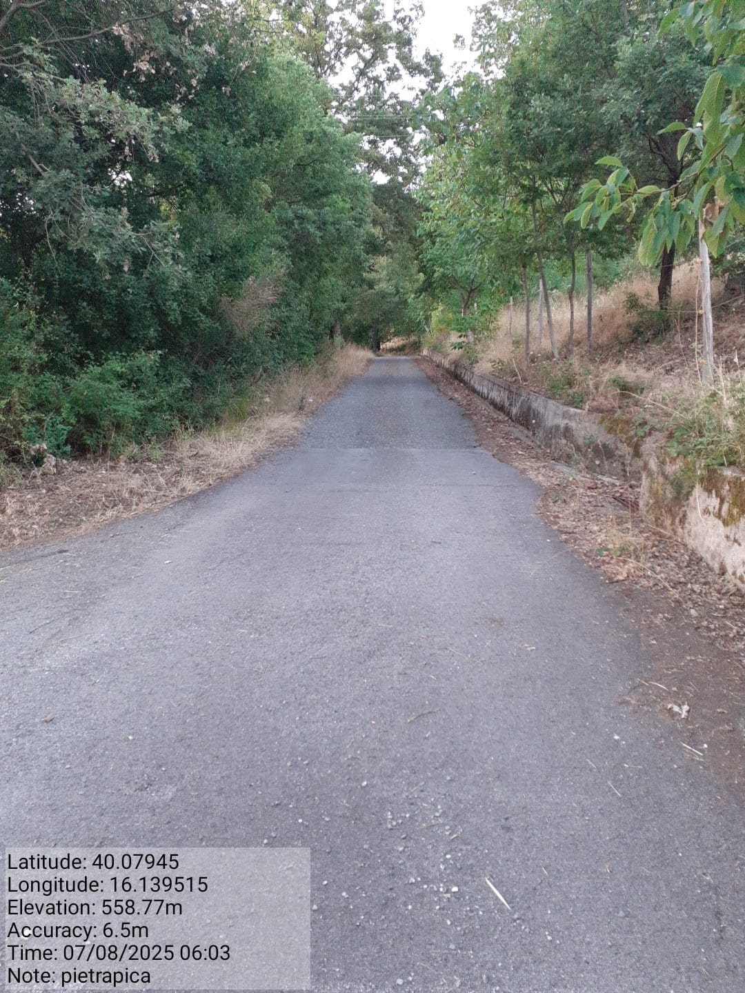 Galleria Fotografica Immagine