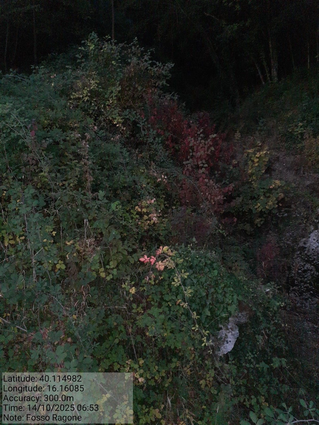 Galleria Fotografica Immagine