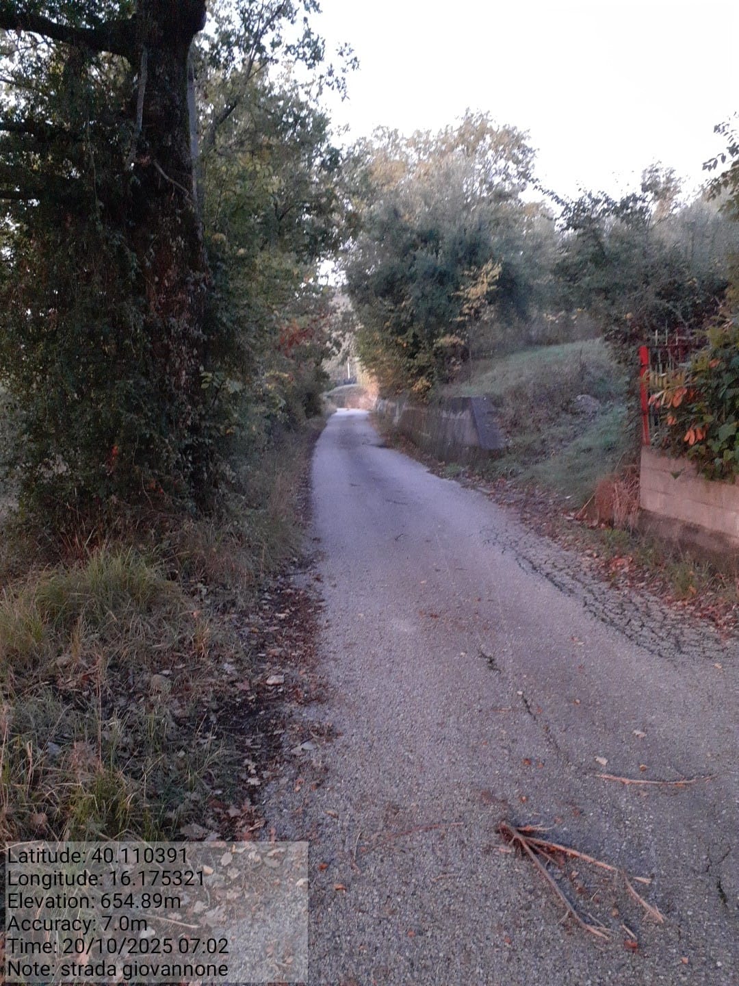 Galleria Fotografica Immagine