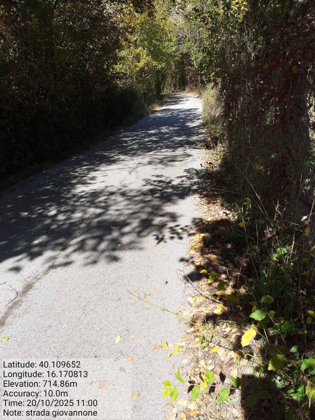 Galleria Fotografica Immagine