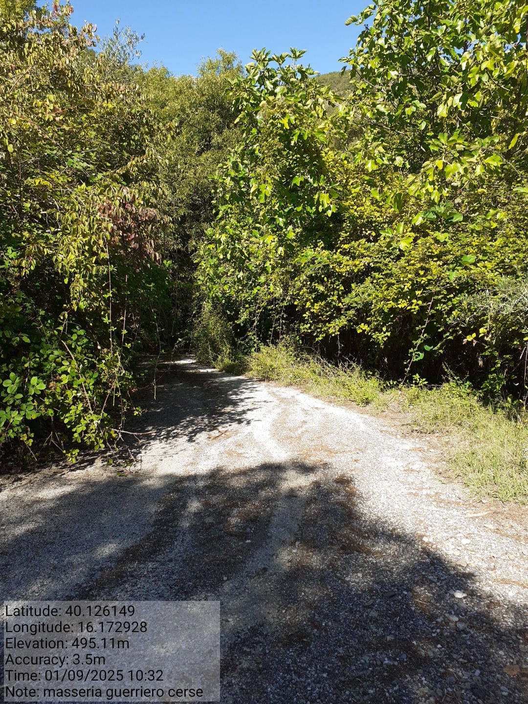 Galleria Fotografica Immagine
