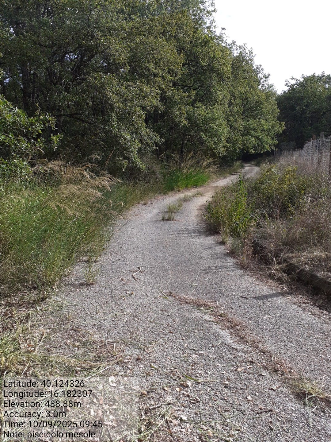 Galleria Fotografica Immagine