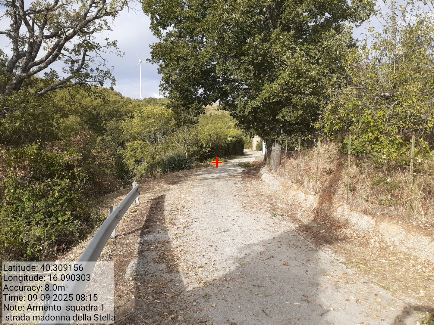 Galleria Fotografica Immagine