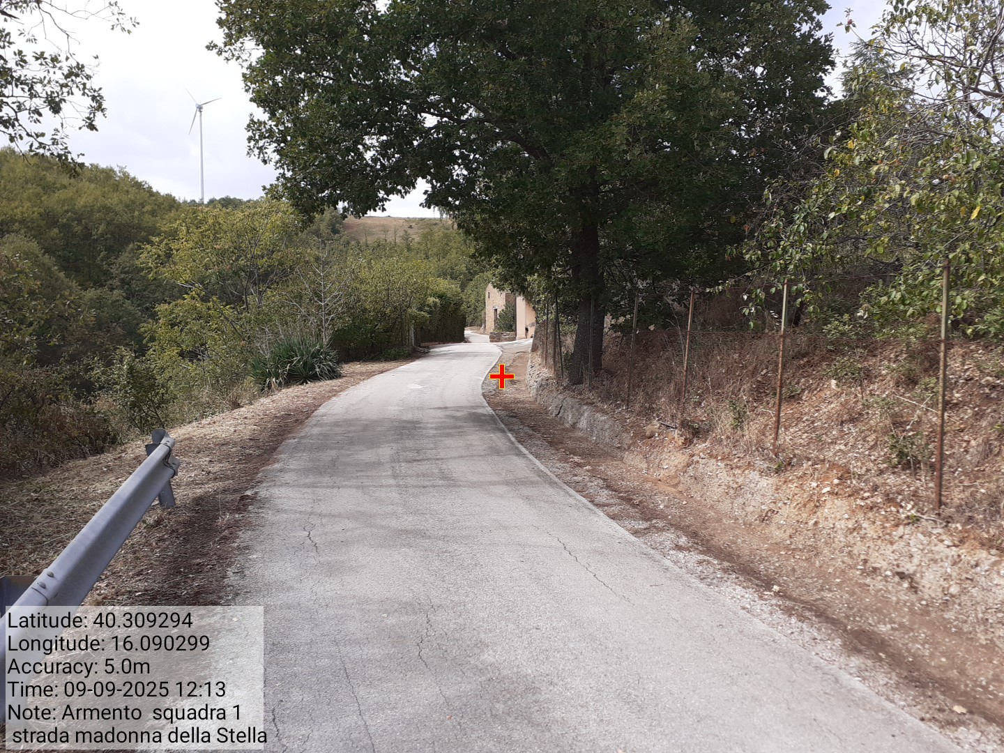 Galleria Fotografica Immagine