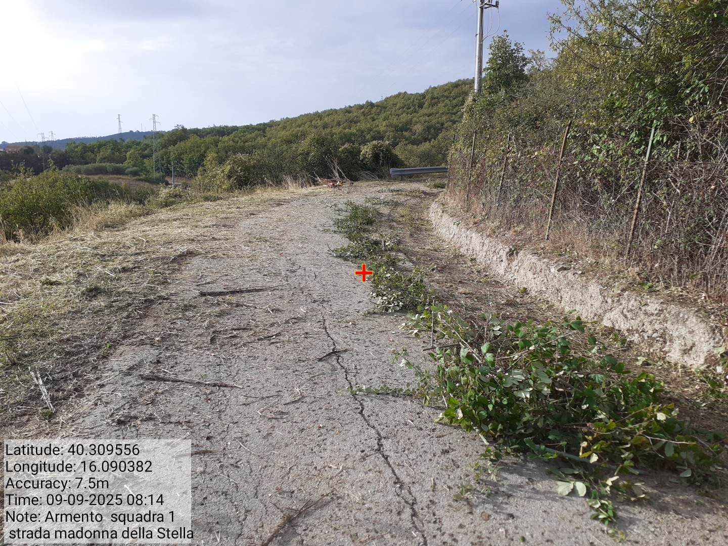 Galleria Fotografica Immagine