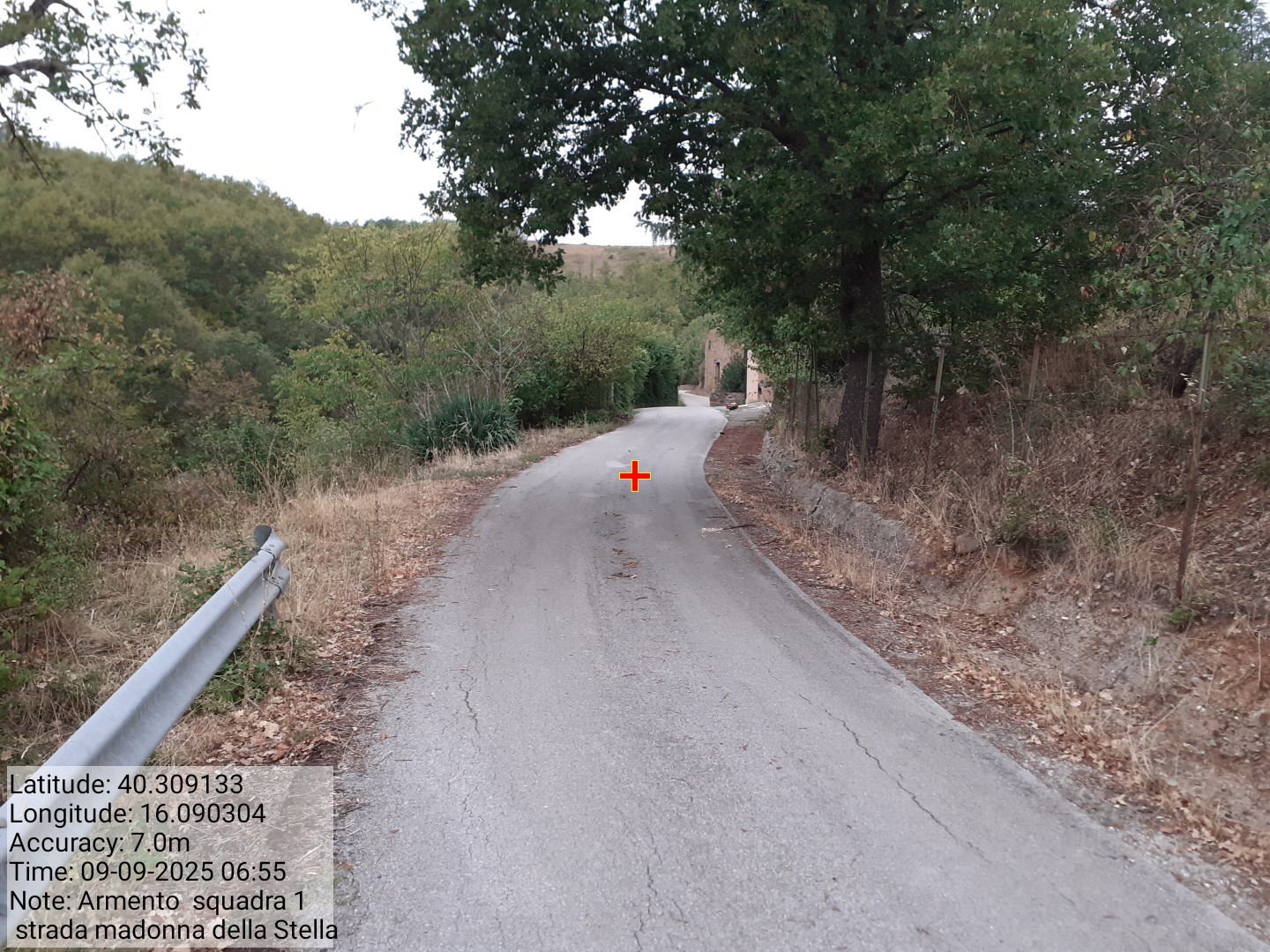 Galleria Fotografica Immagine