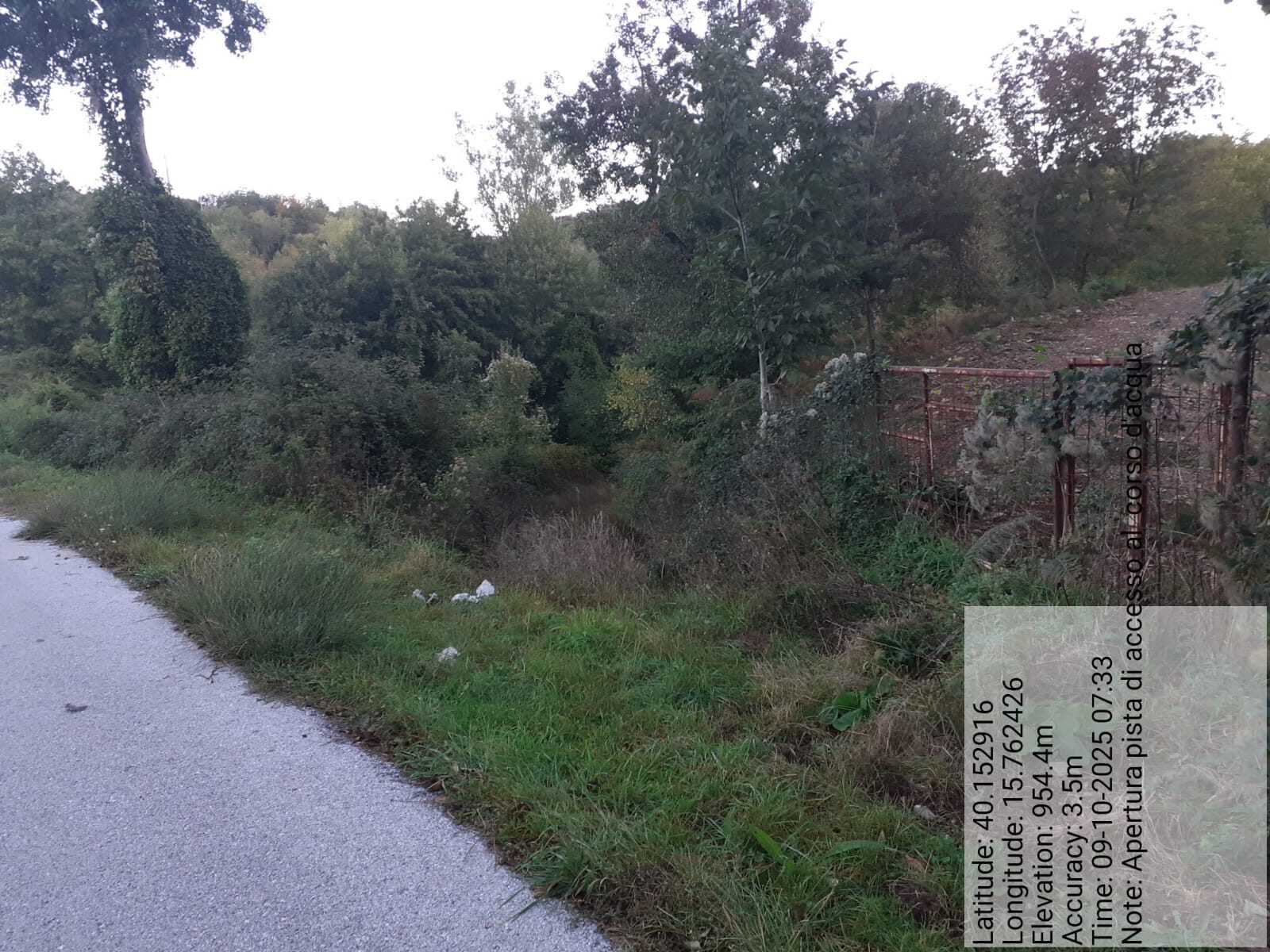 Galleria Fotografica Immagine