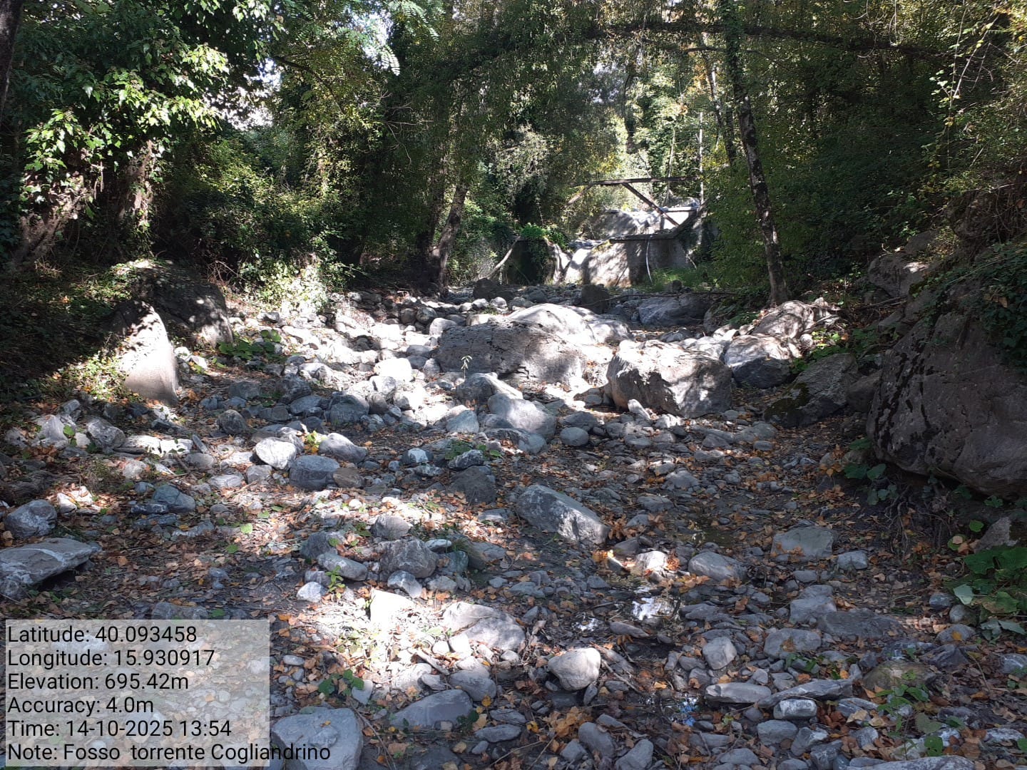 Galleria Fotografica Immagine