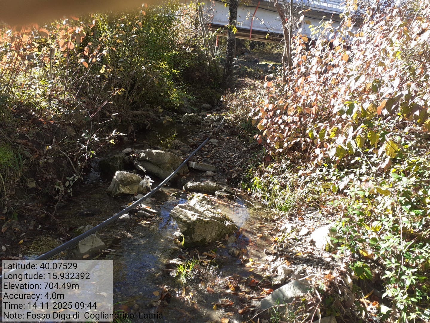 Galleria Fotografica Immagine