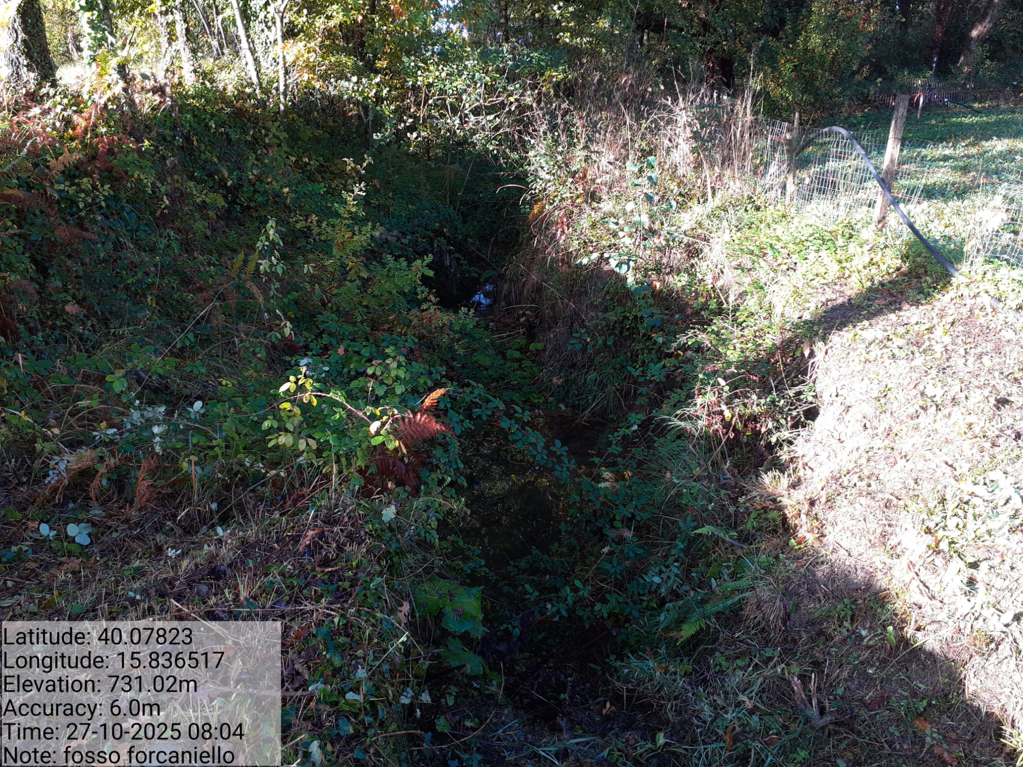 Galleria Fotografica Immagine