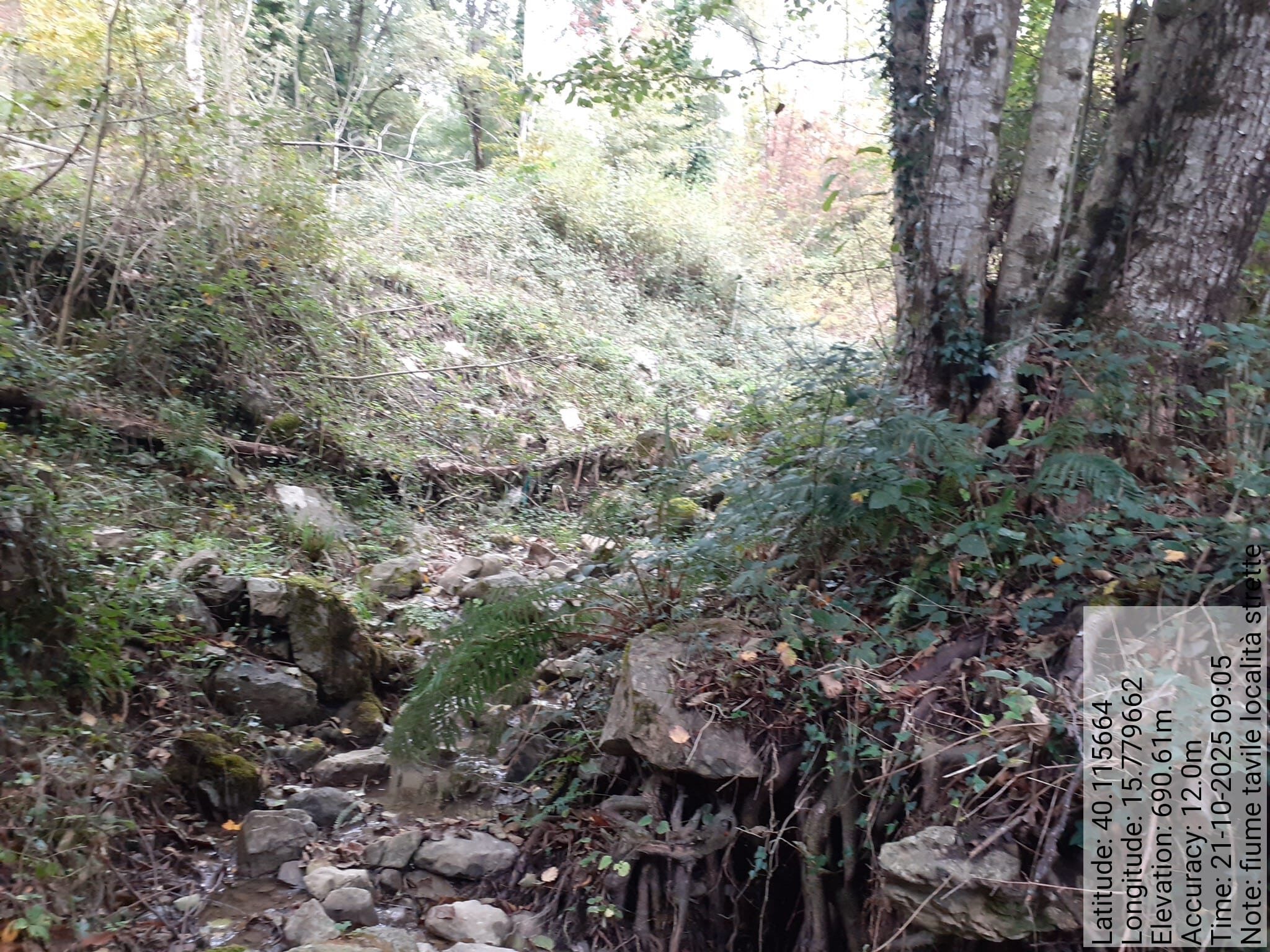 Galleria Fotografica Immagine