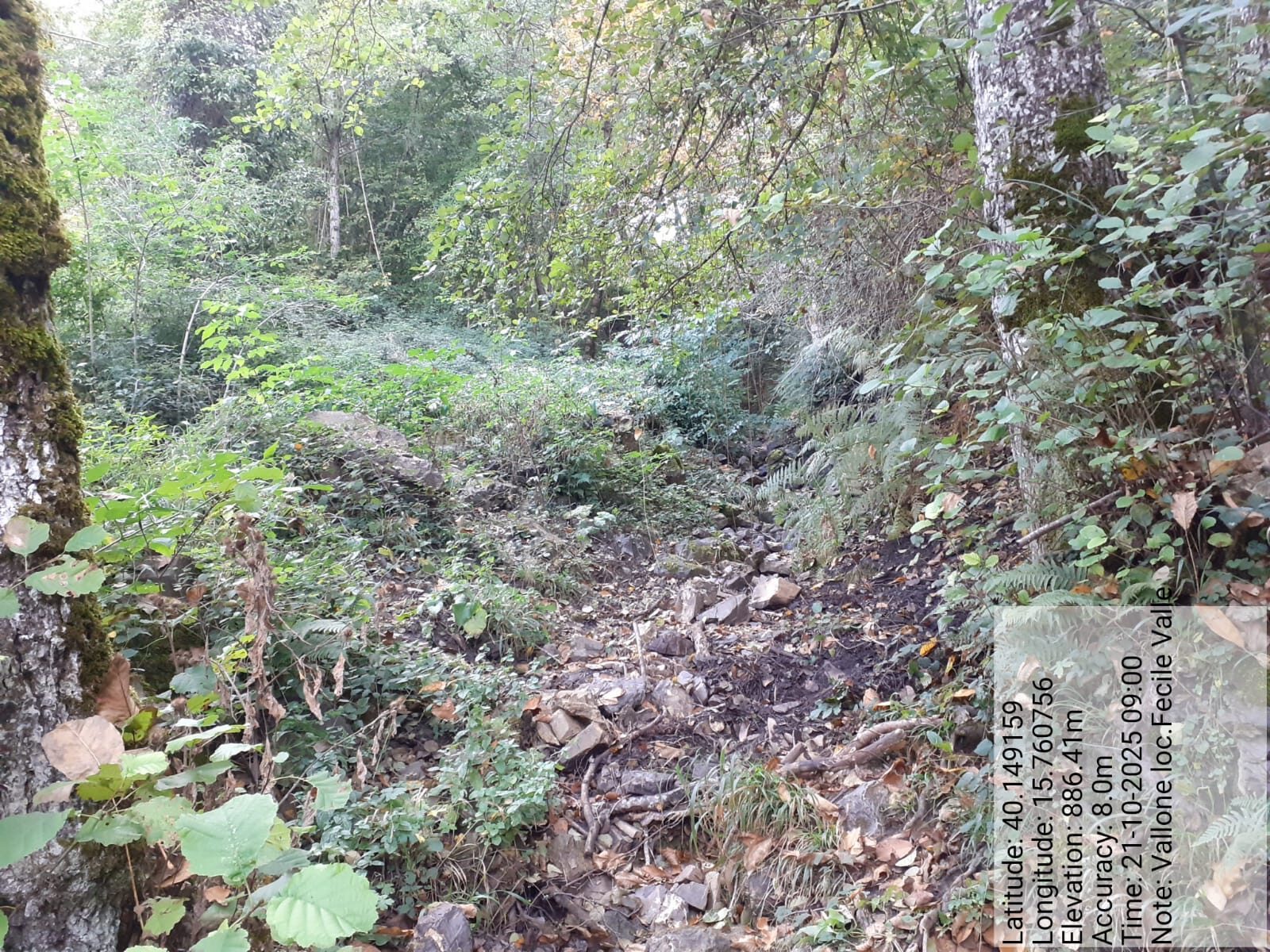 Galleria Fotografica Immagine