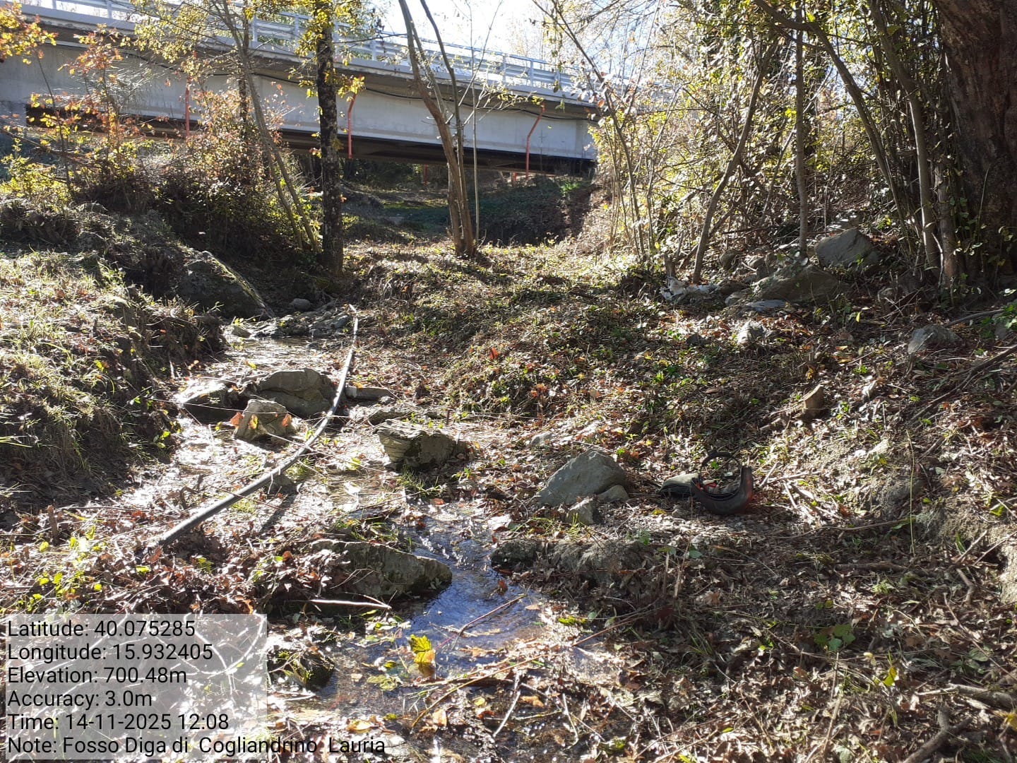 Galleria Fotografica Immagine