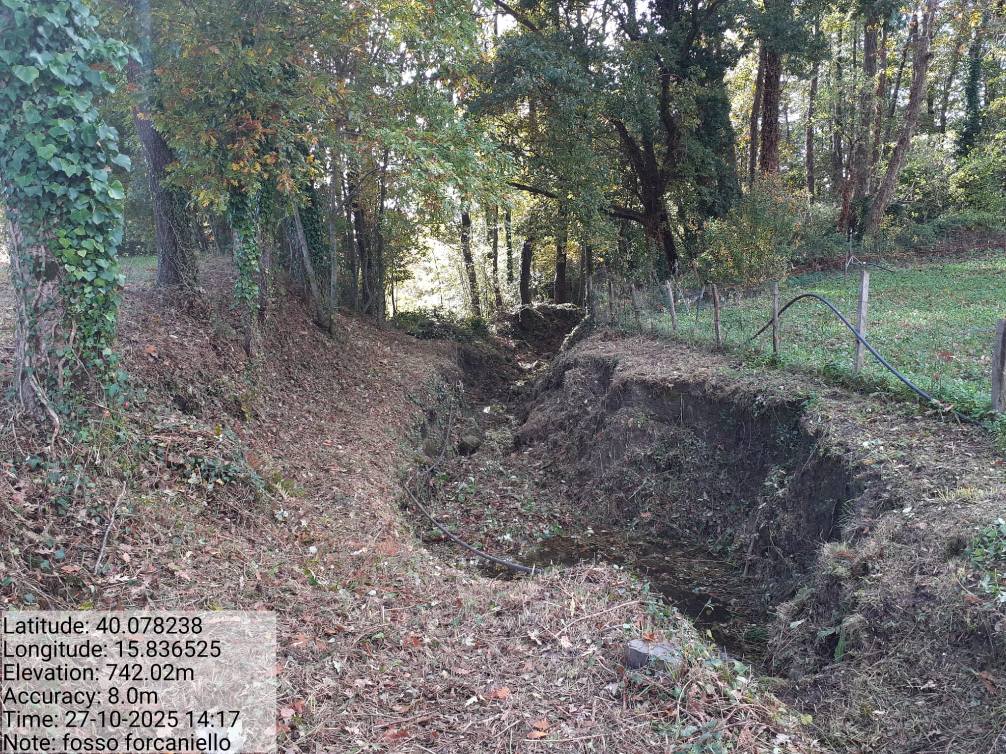 Galleria Fotografica Immagine