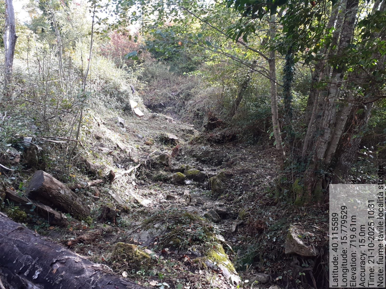 Galleria Fotografica Immagine