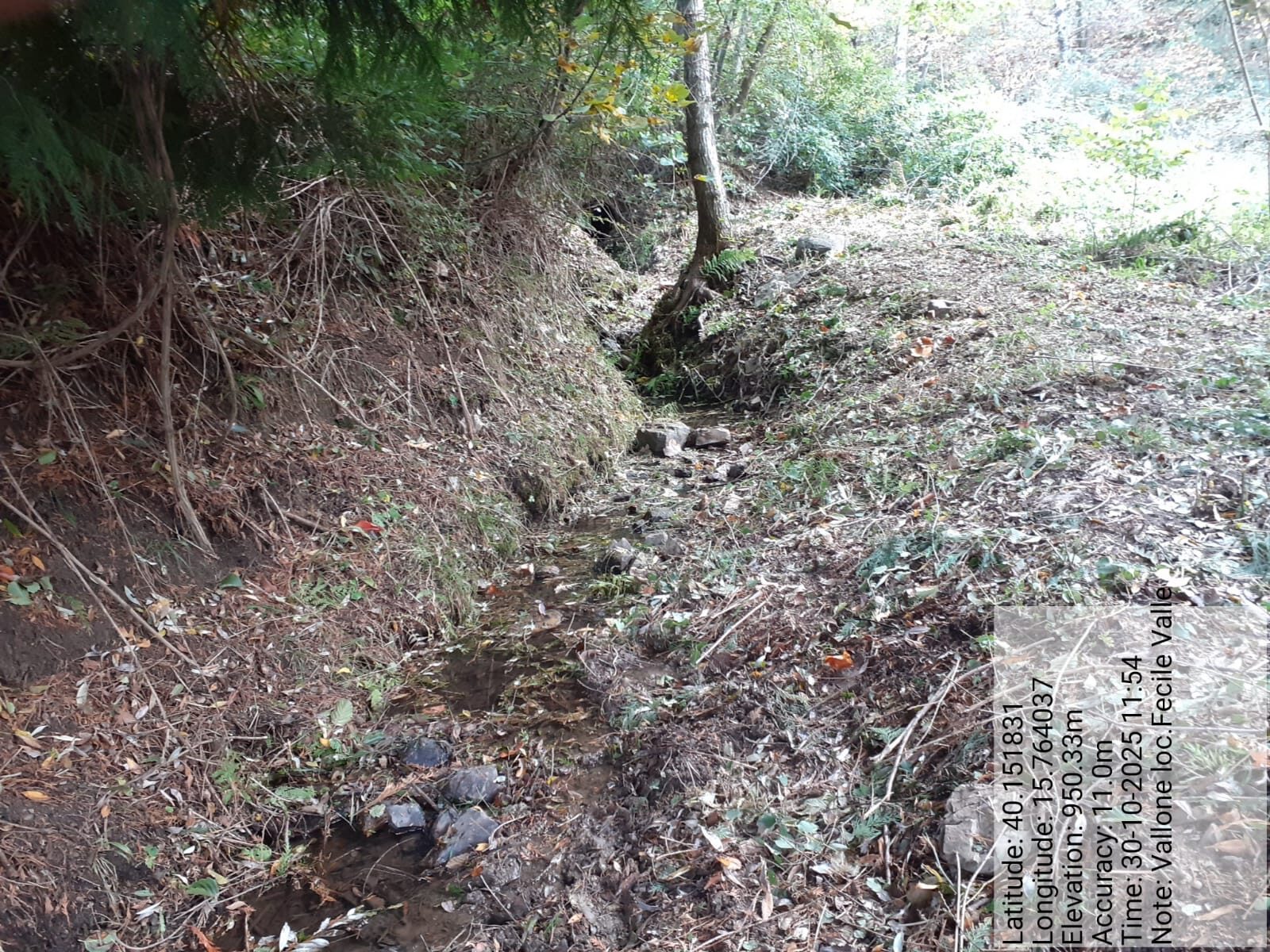 Galleria Fotografica Immagine