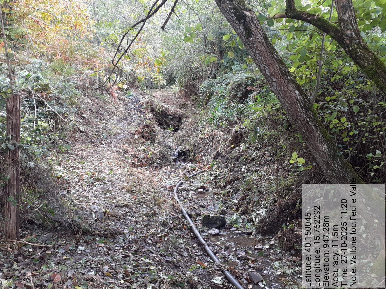 Galleria Fotografica Immagine