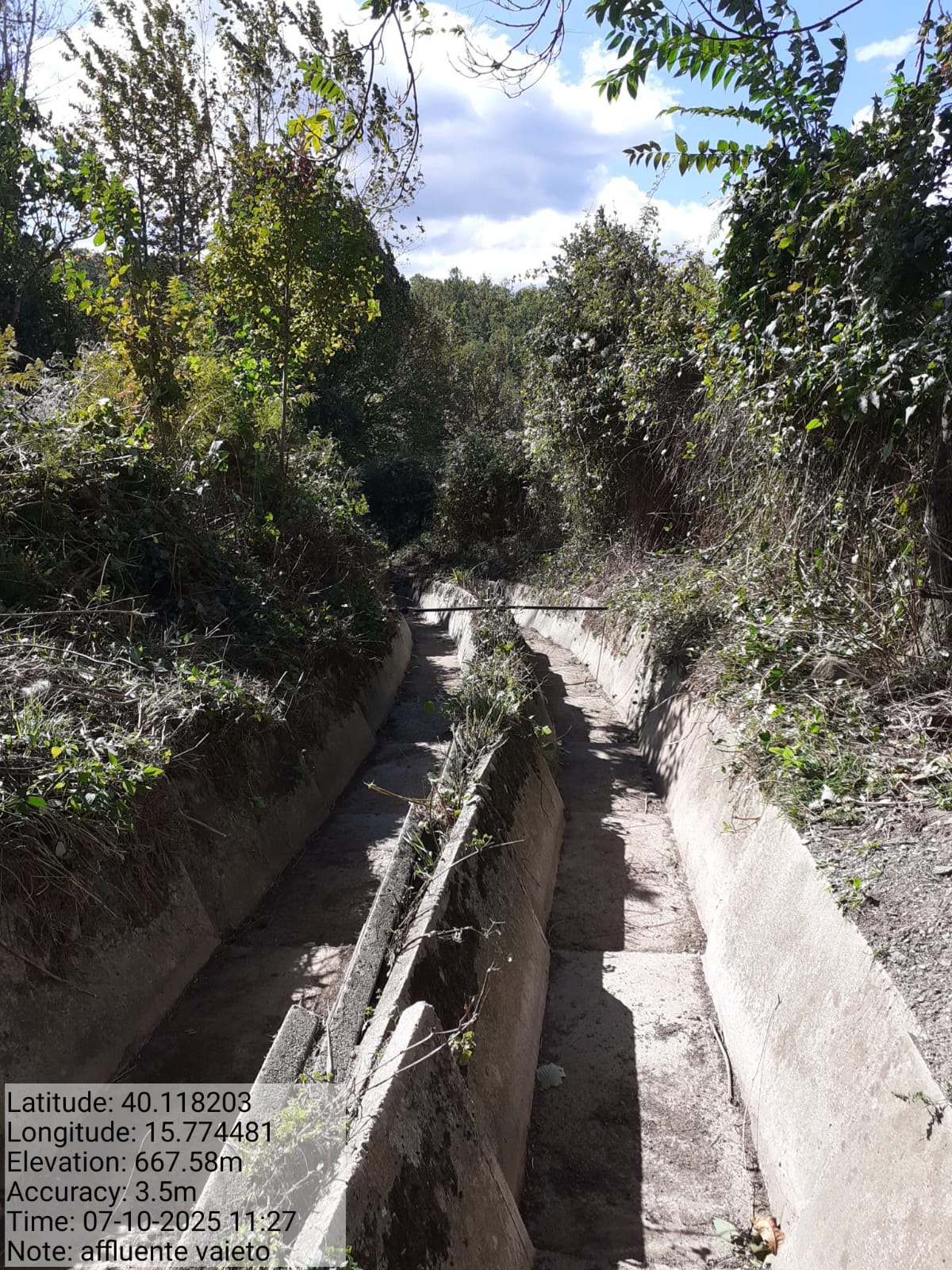 Galleria Fotografica Immagine