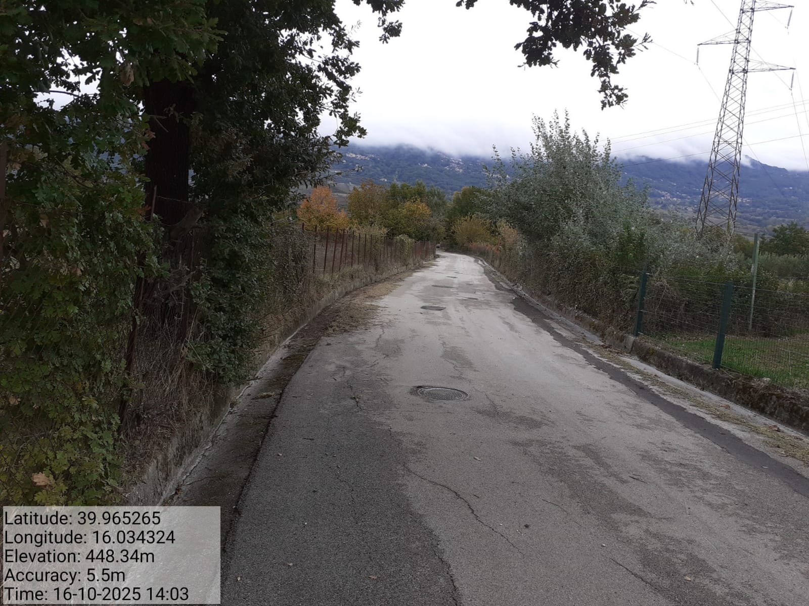 Galleria Fotografica Immagine