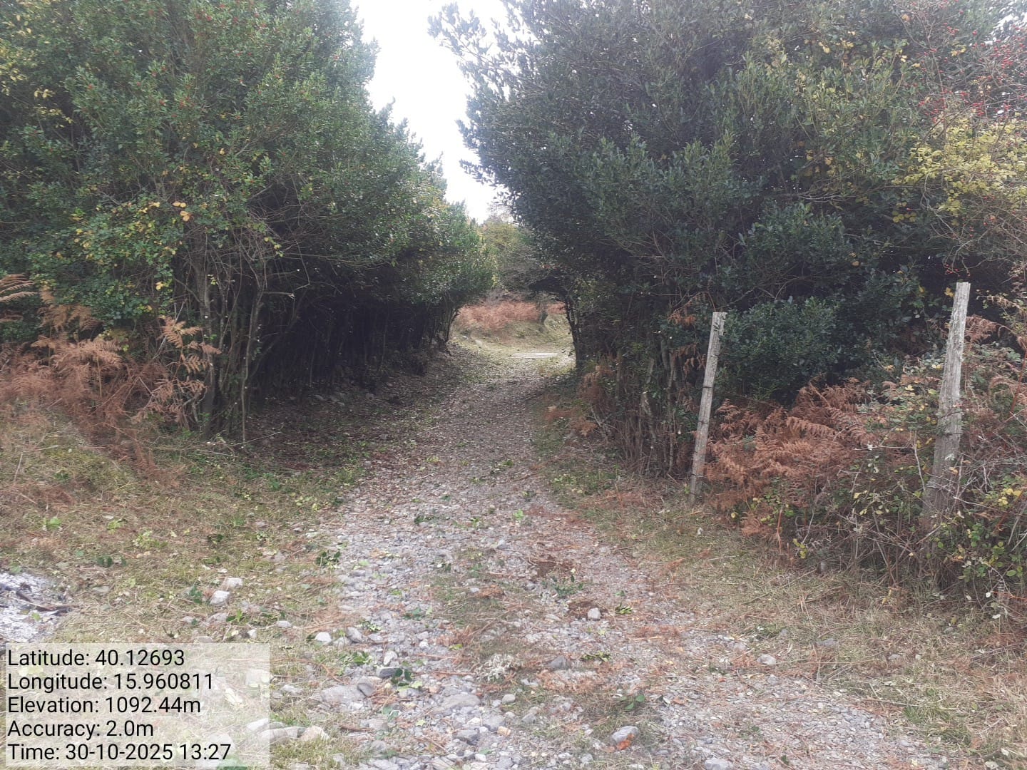 Galleria Fotografica Immagine