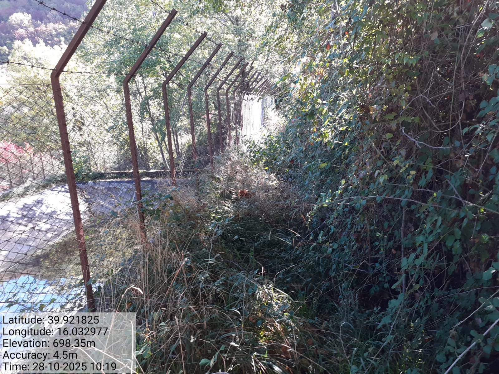 Galleria Fotografica Immagine