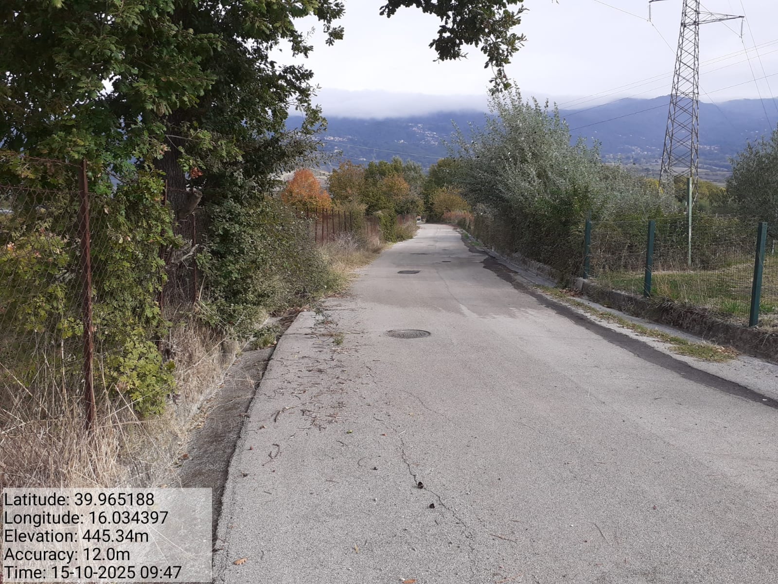 Galleria Fotografica Immagine