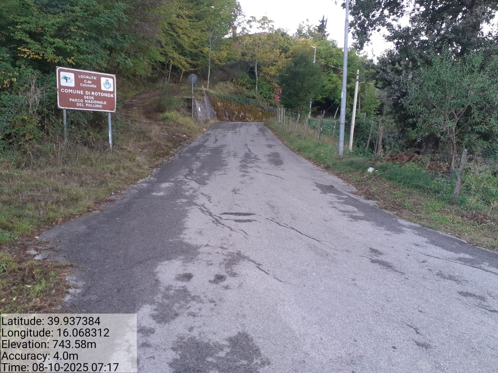 Galleria Fotografica Immagine