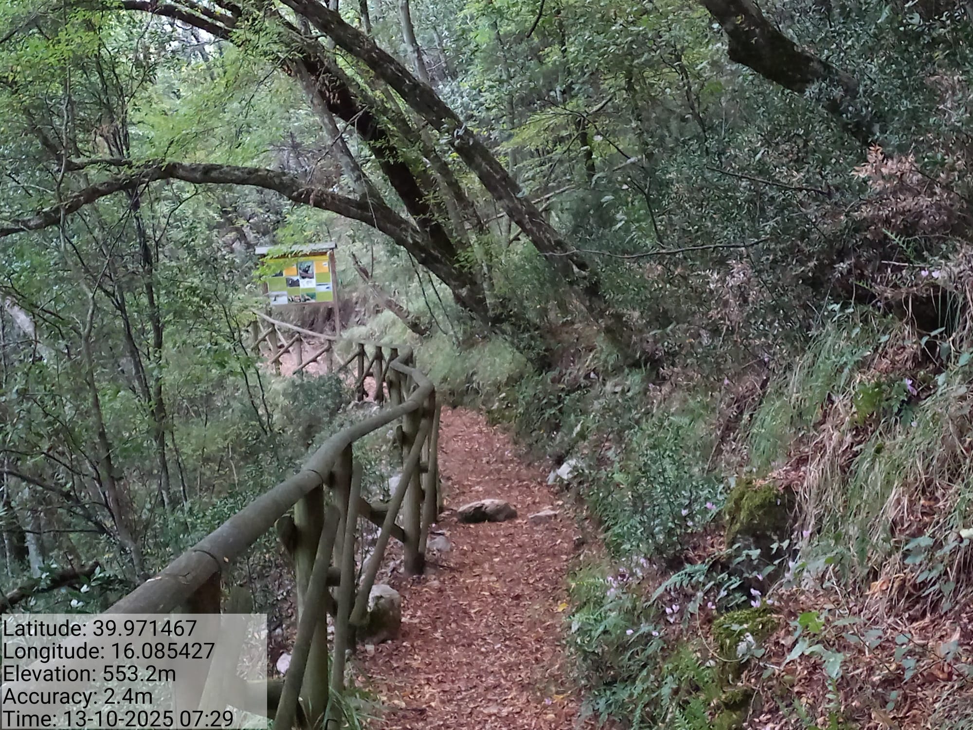 Galleria Fotografica Immagine