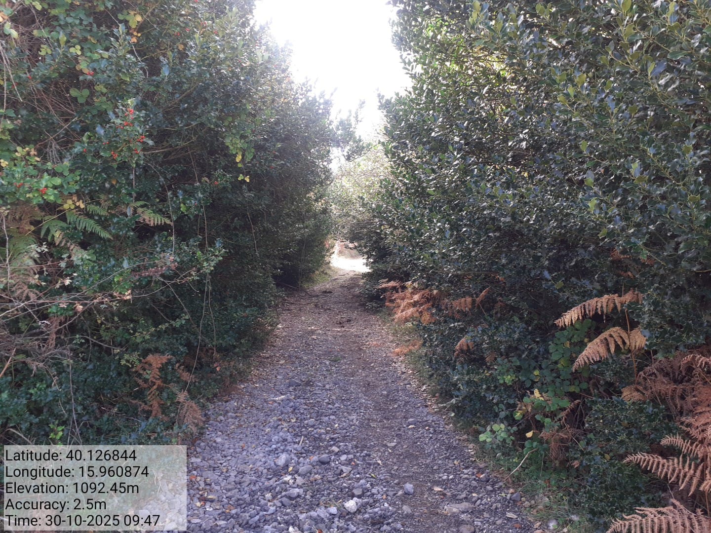 Galleria Fotografica Immagine