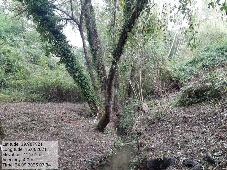 Galleria Fotografica Immagine