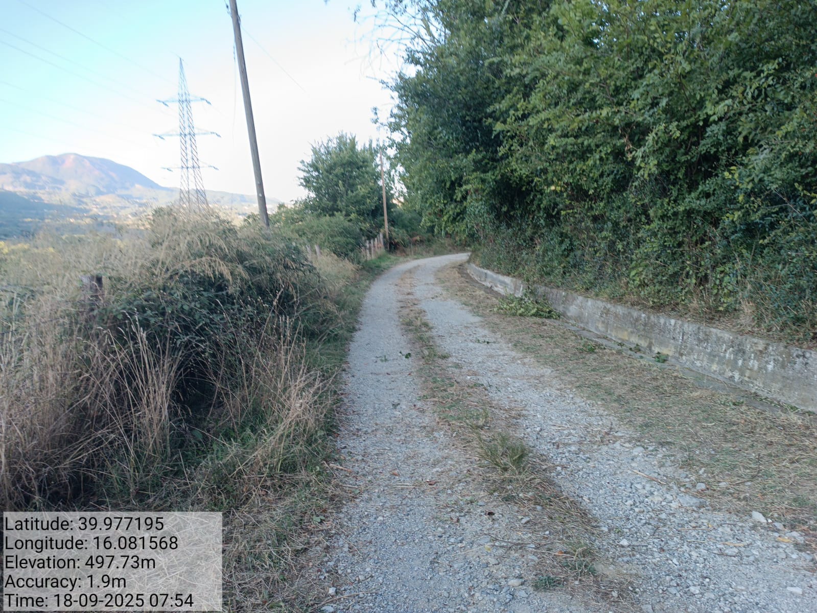 Galleria Fotografica Immagine