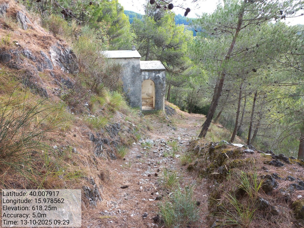 Galleria Fotografica Immagine