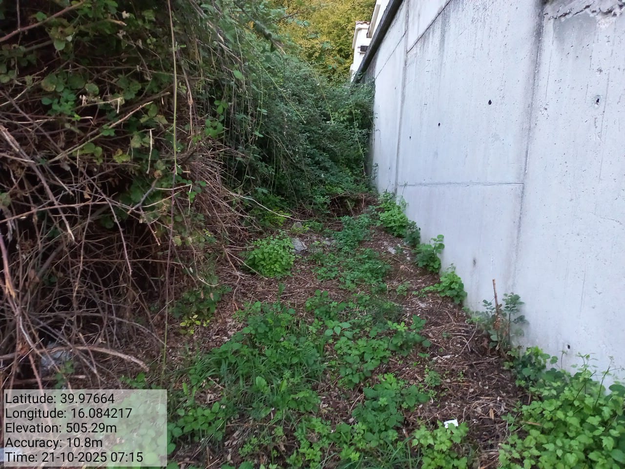 Galleria Fotografica Immagine