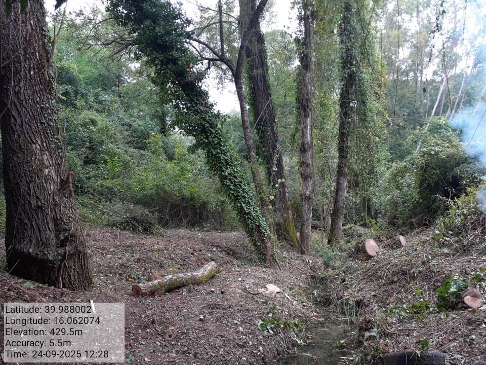 Galleria Fotografica Immagine