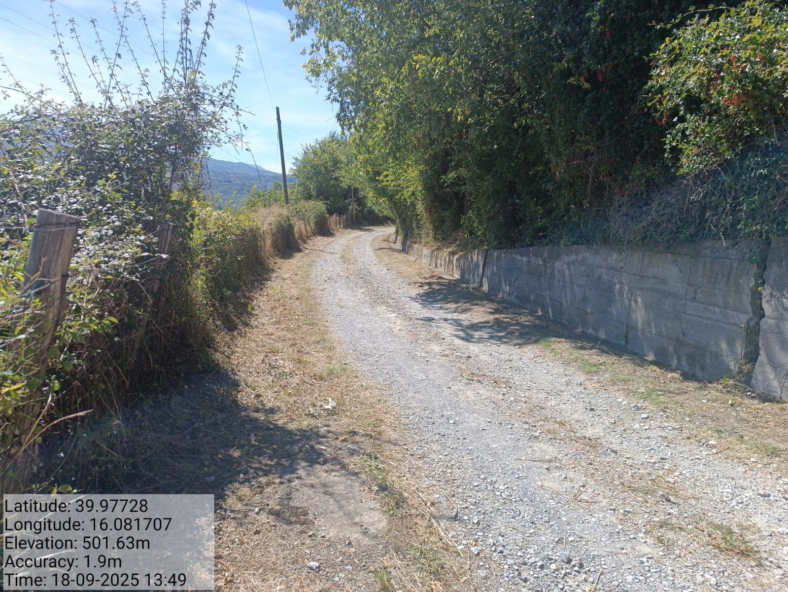 Galleria Fotografica Immagine