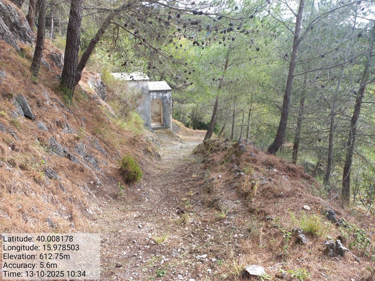 Galleria Fotografica Immagine