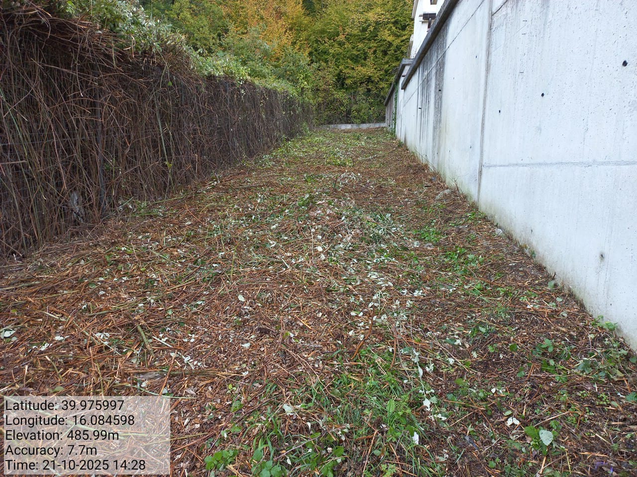 Galleria Fotografica Immagine