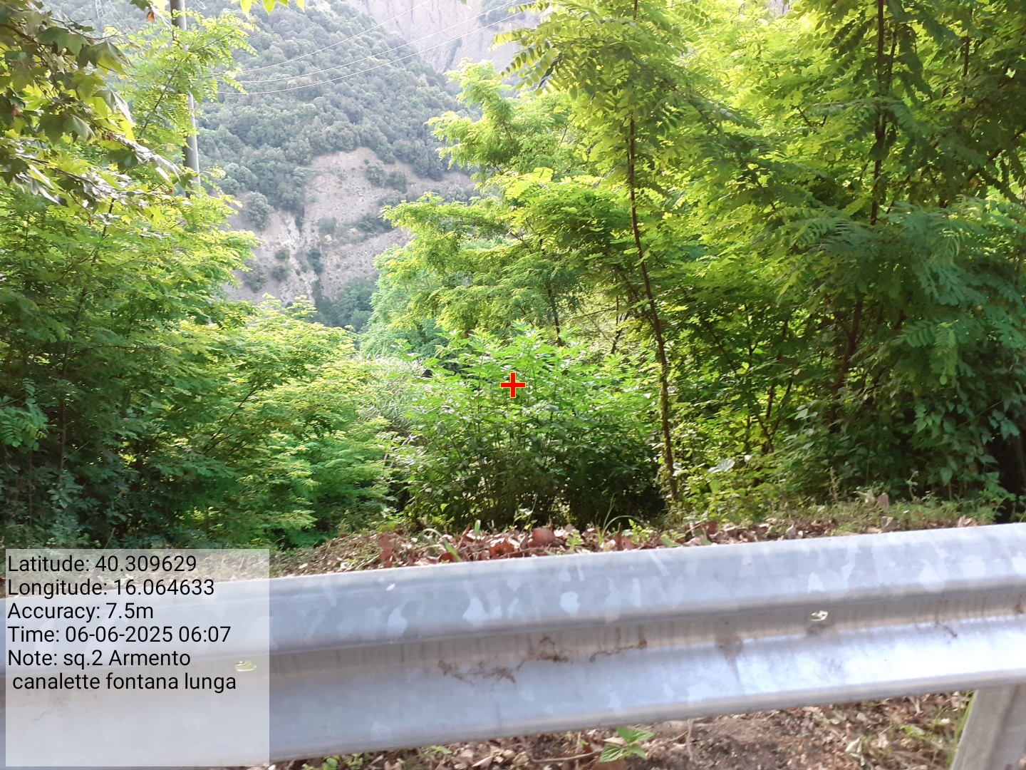 Galleria Fotografica Immagine