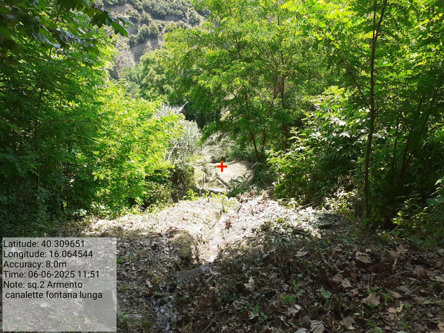 Galleria Fotografica Immagine