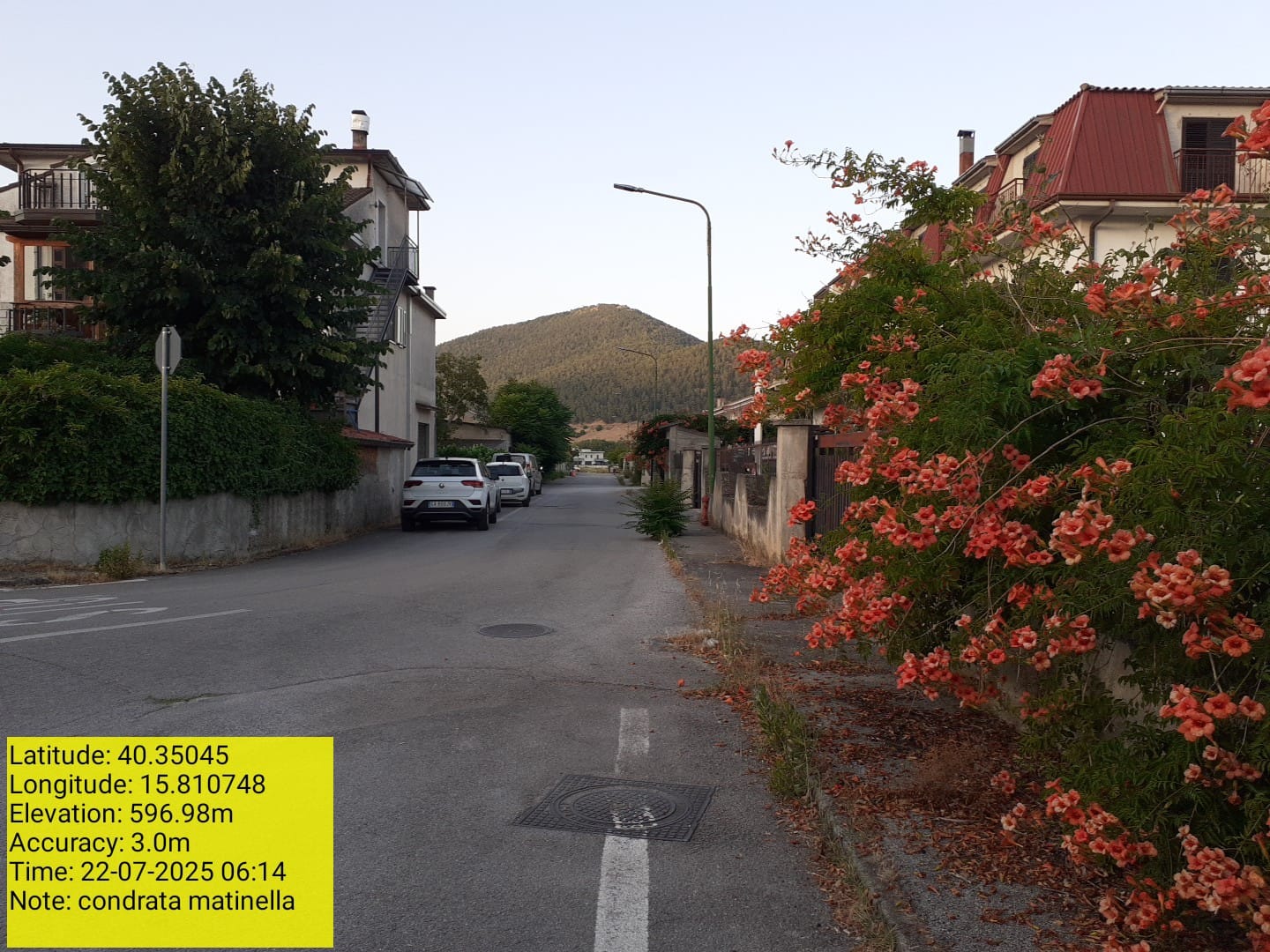 Galleria Fotografica Immagine