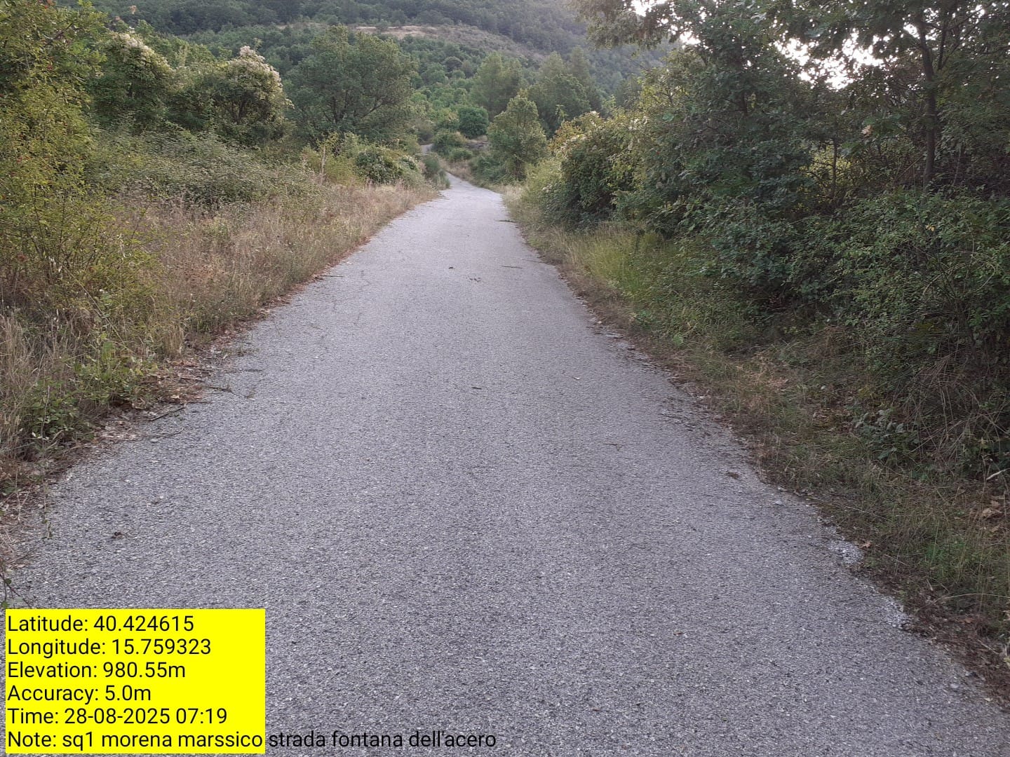 Galleria Fotografica Immagine