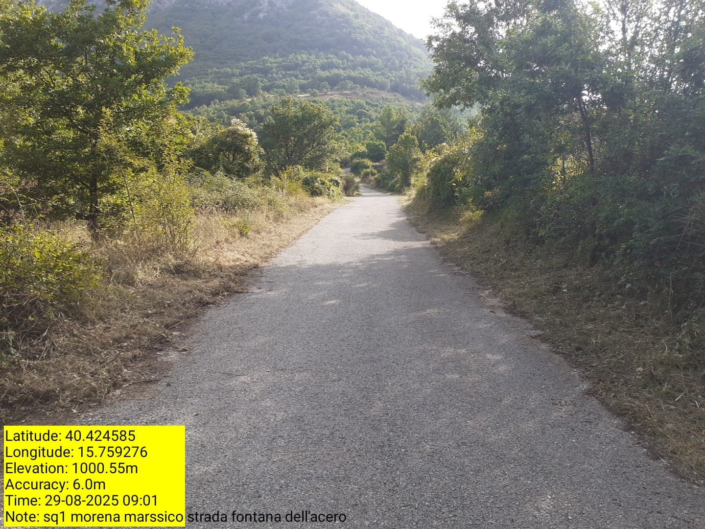 Galleria Fotografica Immagine