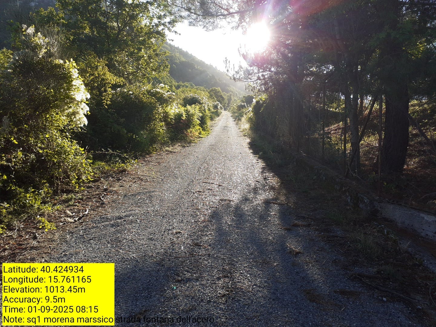 Galleria Fotografica Immagine