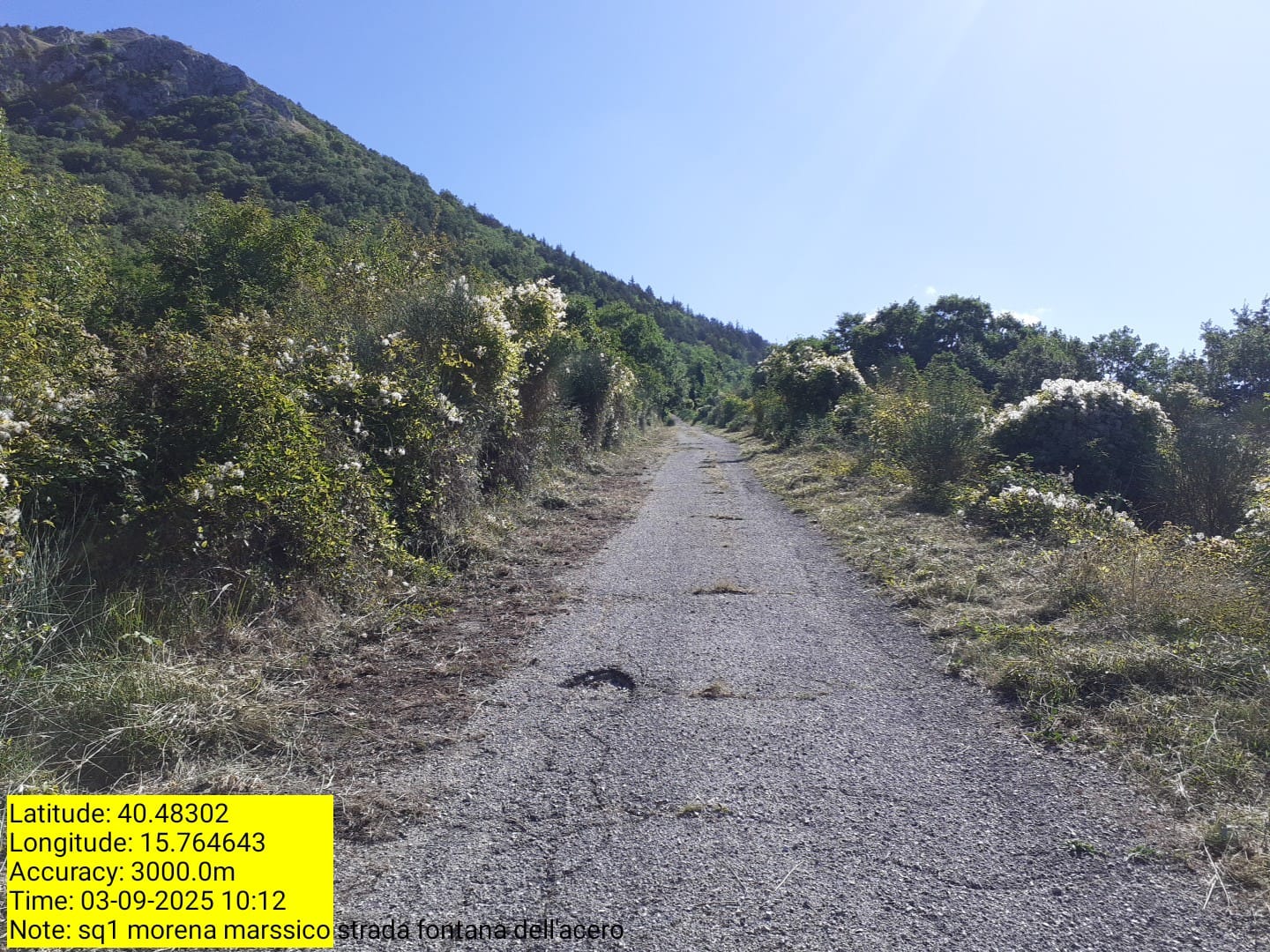 Galleria Fotografica Immagine