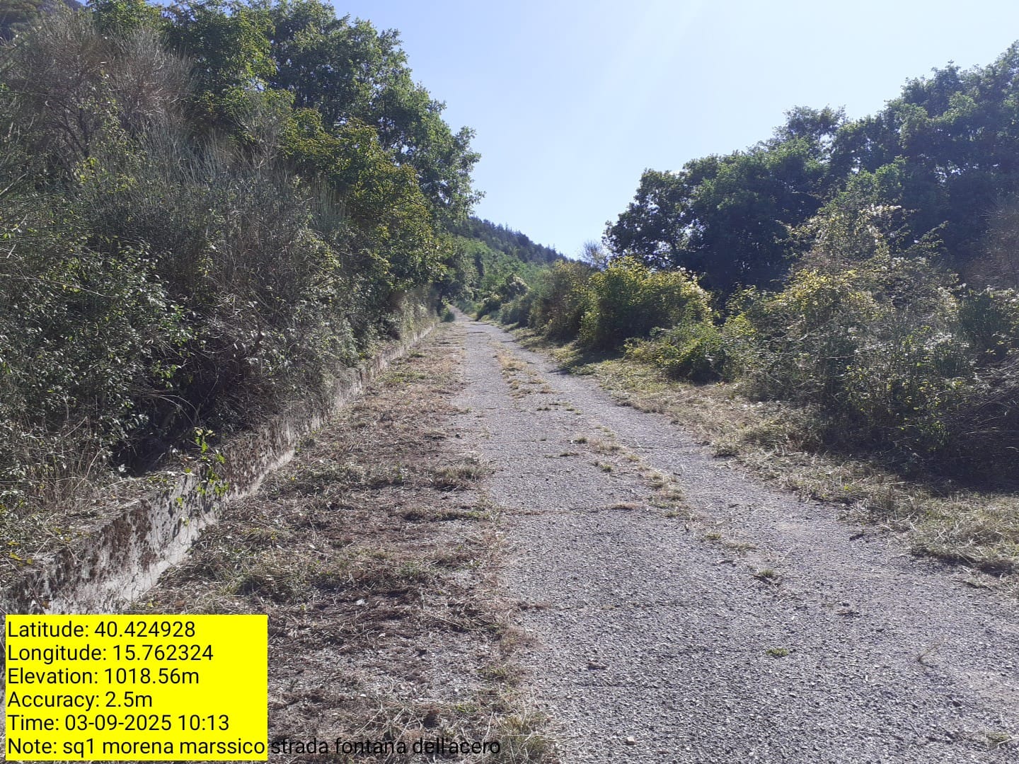 Galleria Fotografica Immagine