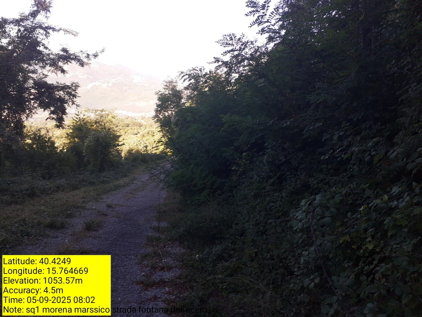 Galleria Fotografica Immagine