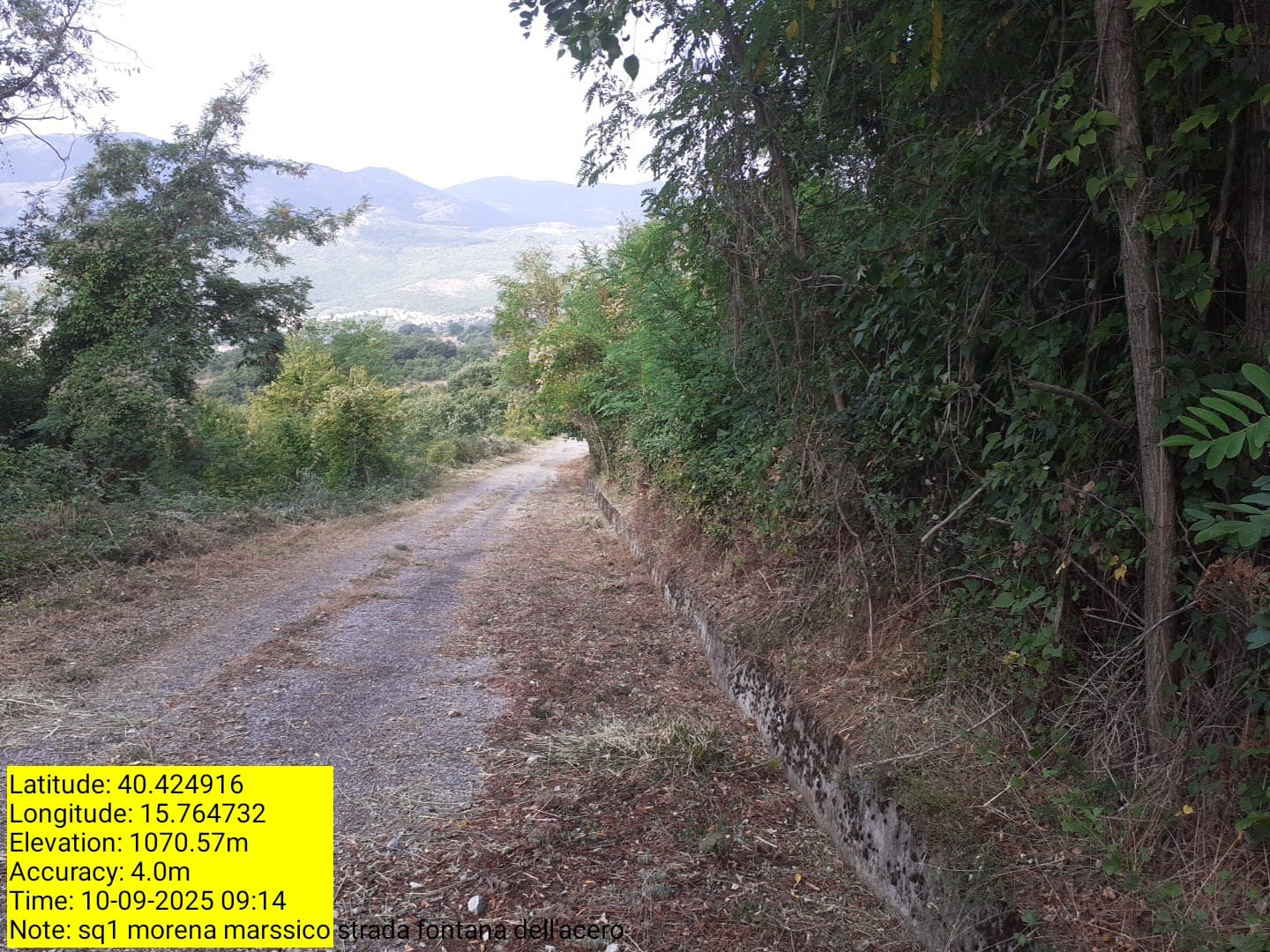 Galleria Fotografica Immagine