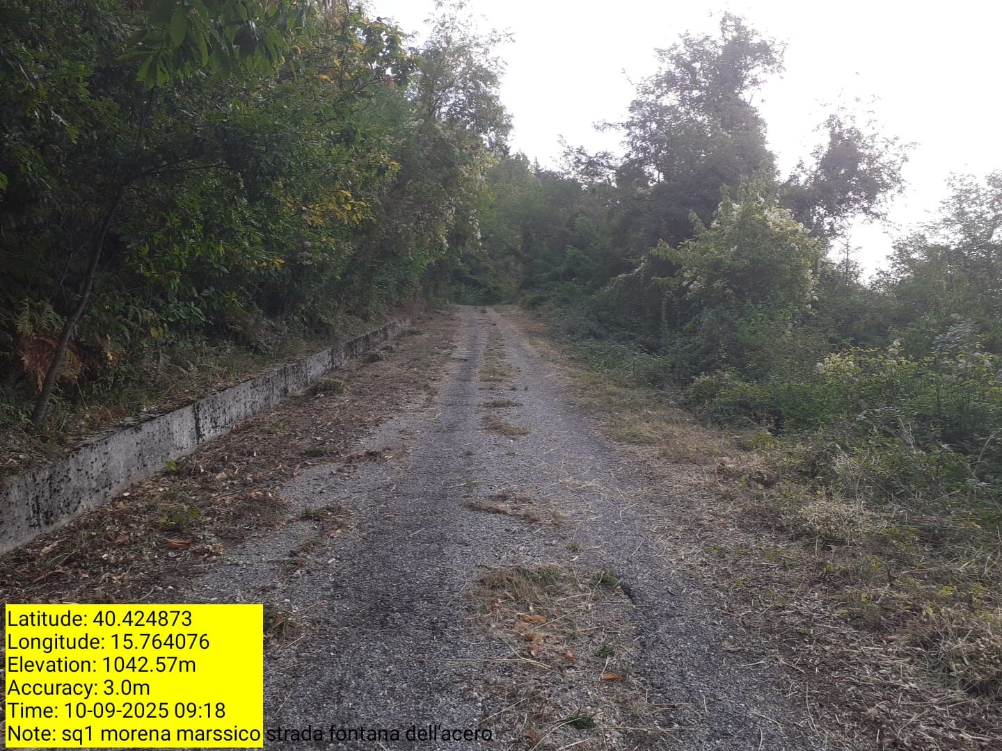 Galleria Fotografica Immagine