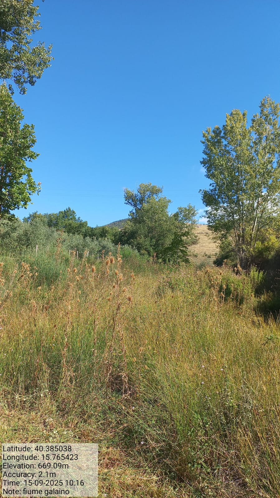 Galleria Fotografica Immagine